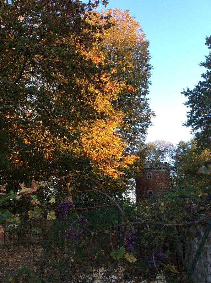 Boutigny L'Orme Des Voyageurs Bed & Breakfast エクステリア 写真